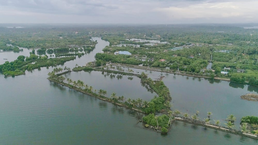 Munroe Thuruthu: Preserving a Habitat Through Tourism