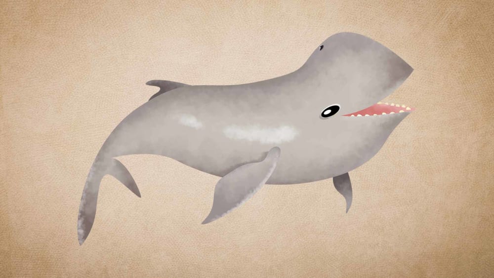 Irrawaddy Dolphin: Facts, Habitat, Threats
