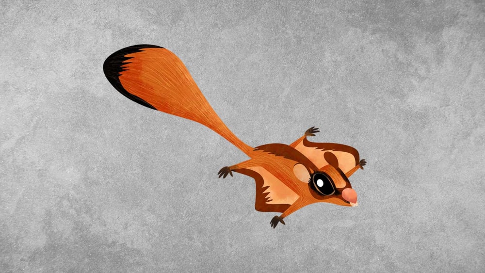Red Giant Gliding Squirrel: Facts, Habitats, Threats