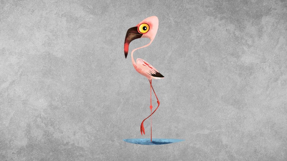 Lesser Flamingo: Facts, Habitat, Threats