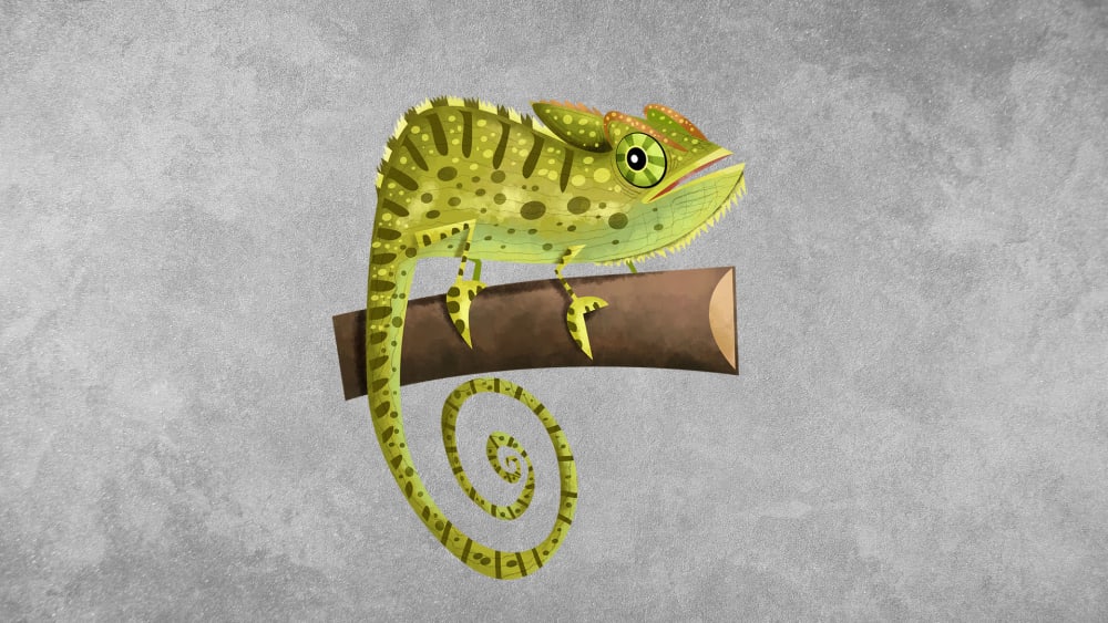 Indian Chameleon: Facts, Behaviour, Diet