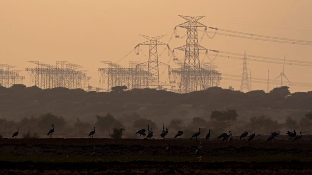 Orans of Rajasthan: A Sacred Oasis at the Cusp of Change
