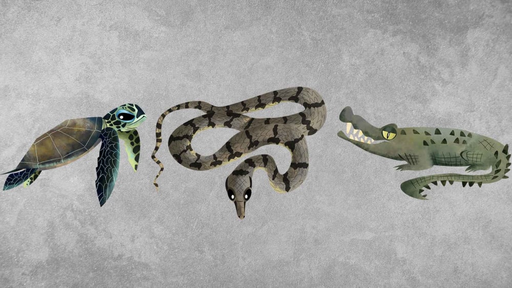 Reptiles: Facts, Types, Evolution
