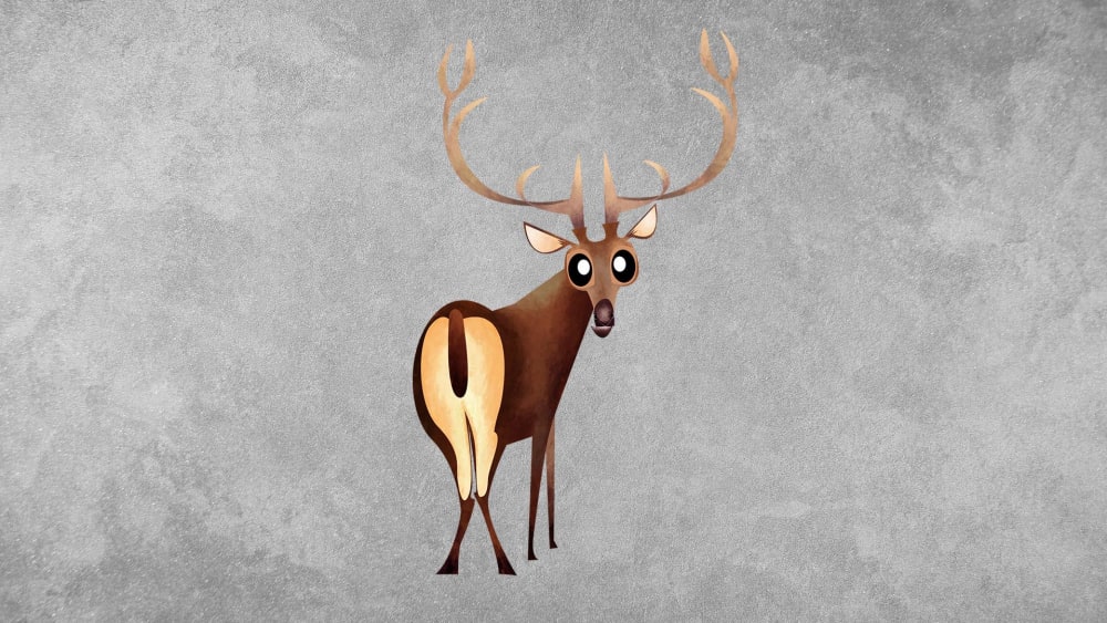 Hangul: Facts, Habitat, Threats
