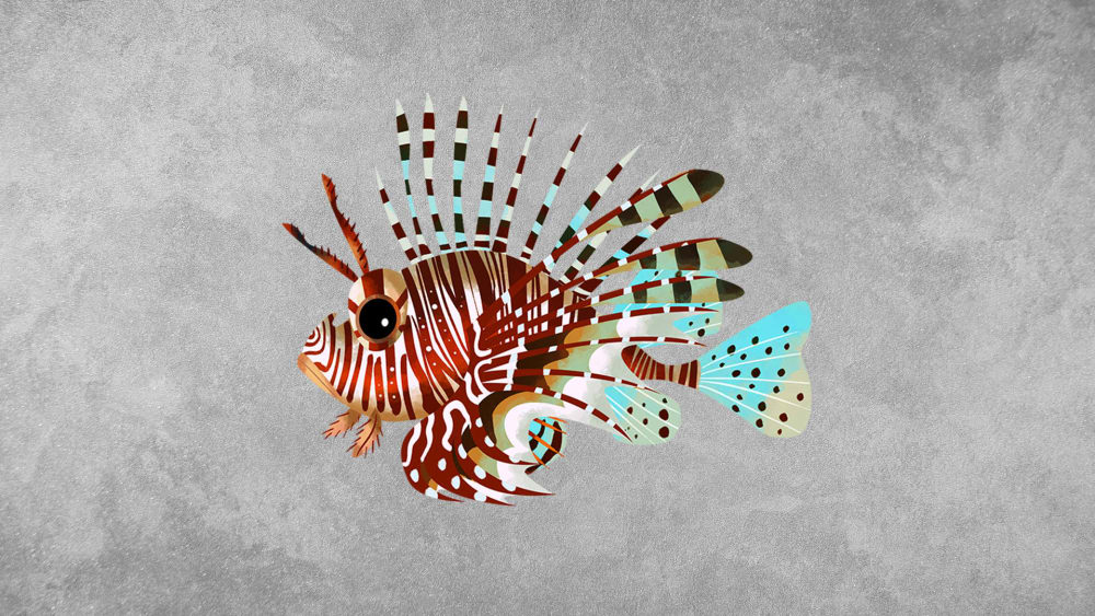 Lionfish: Facts, Habitat, Venom