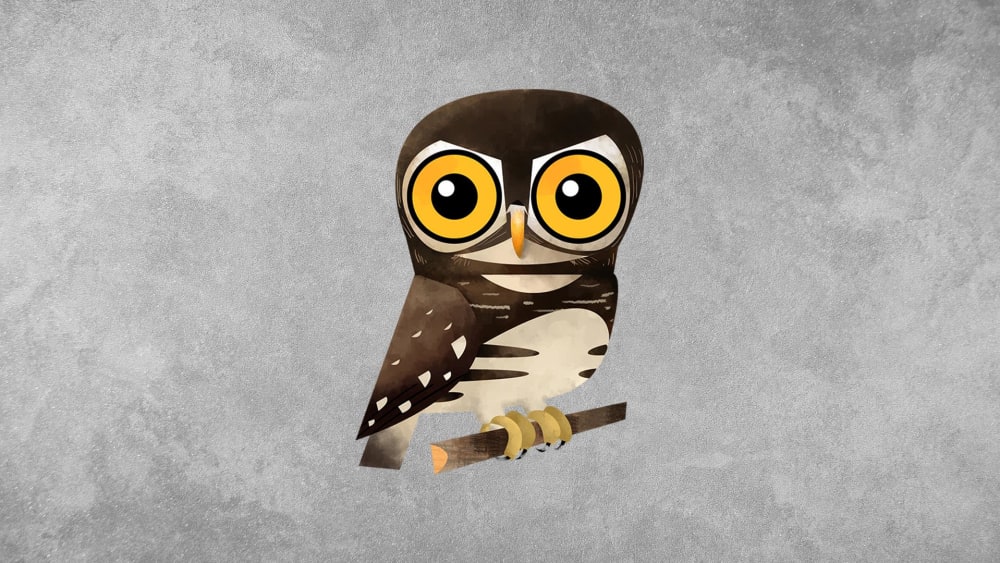 Forest Owlet: Facts, Calls and Nesting
