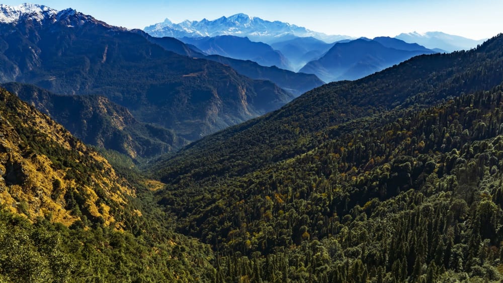 Kedarnath Wildlife Sanctuary: Climbing Upwards Through Forests, Alpine Meadows, Grasslands, and Glaciers