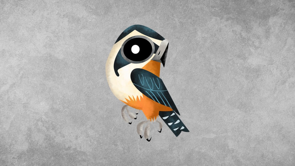 Collared Falconet: Facts, Habitat, Distribution