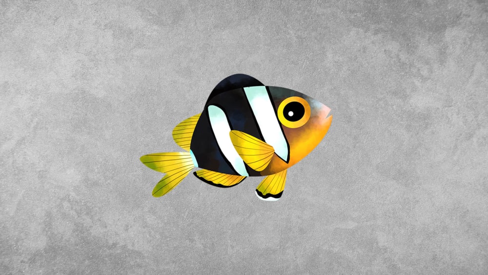 Anemonefish: Facts, Gender Fluidity, Reproduction