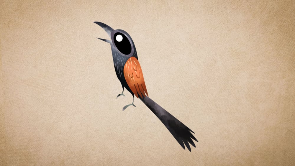 Lesser Coucal: Facts, Diet, Habitat