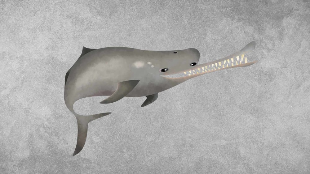 Ganges River Dolphin: Facts, Population, and Protection Status