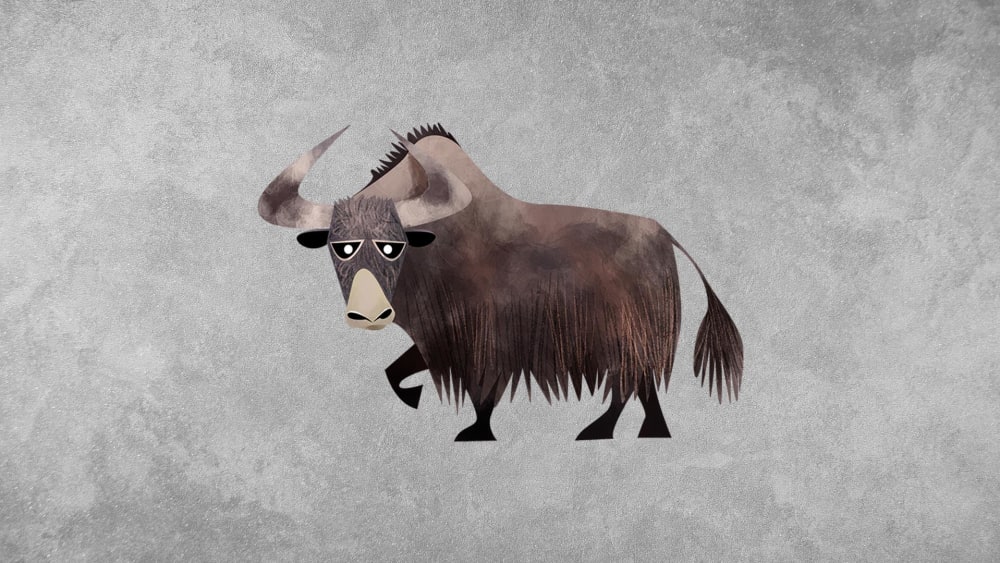 Wild Yak: Facts, Threats, Habitat