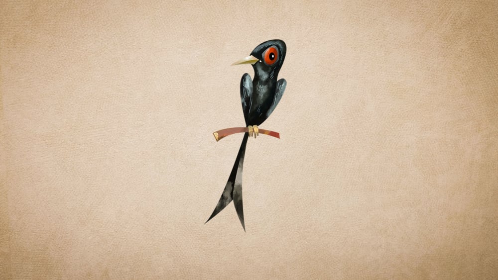 Black Drongo: Facts, Habitat, Calls