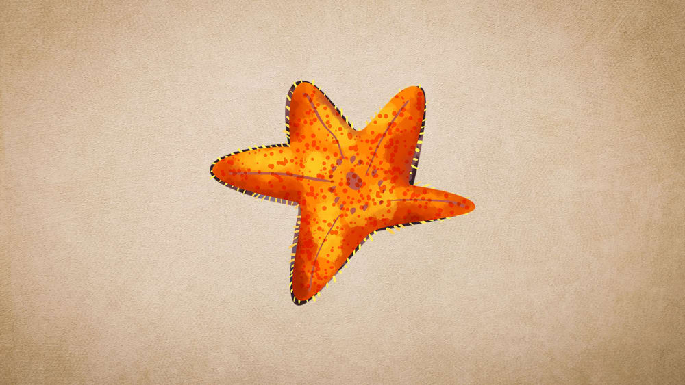 Sea Stars (Starfish): Species, Diet, Habitat and Range