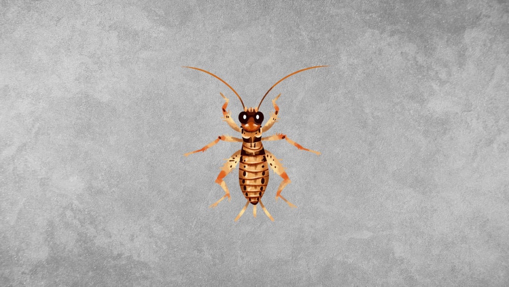 Crickets: Facts, Ecological Role, Habitat