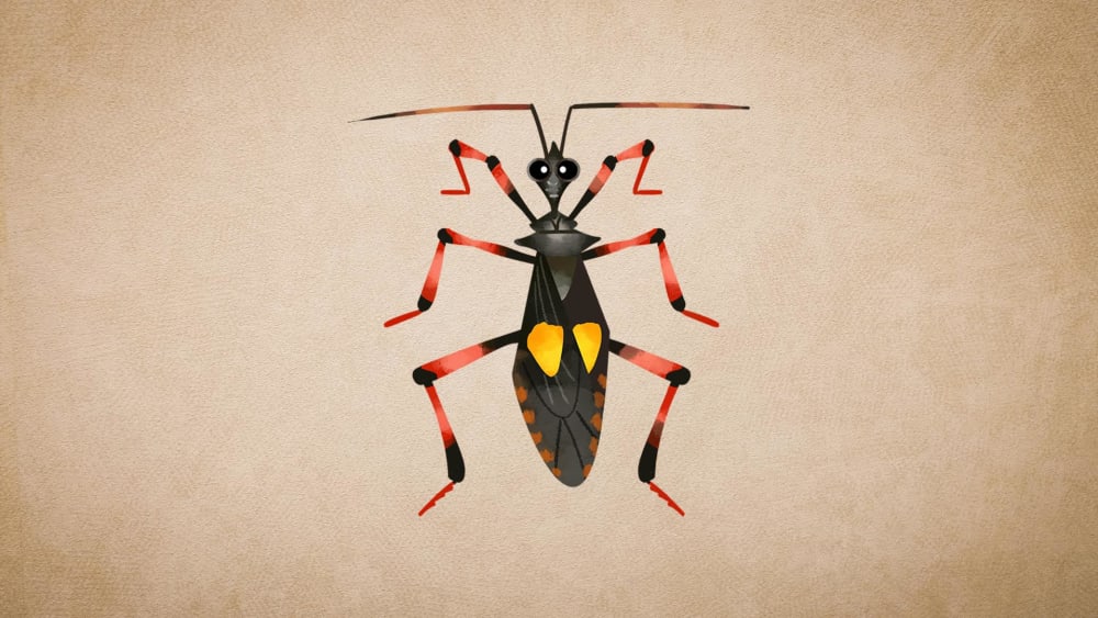 Assassin Bugs: Facts, Hunting, Lifecycle
