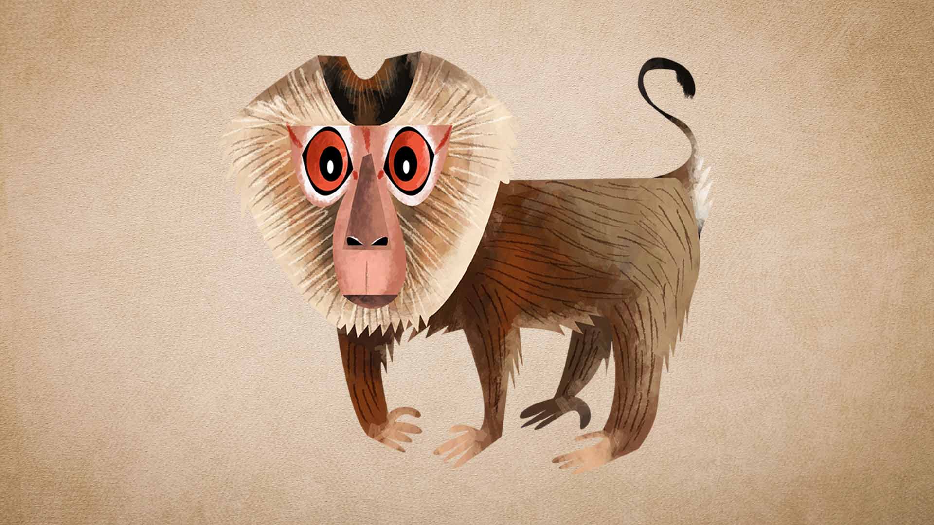 Northern Pig-tailed Macaque: Facts, Social Life, Threats
