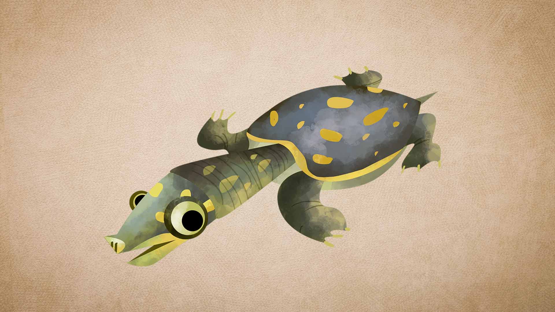 Indian Flapshell Turtle: Facts, Lifespan, and Illegal Trade