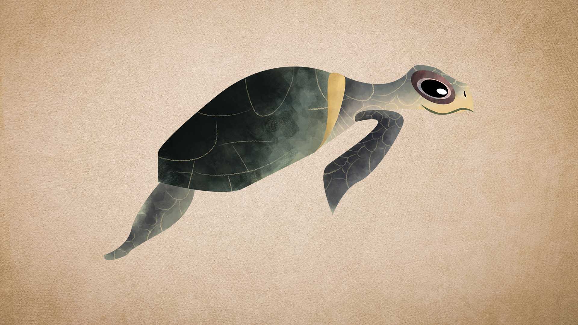 Olive Ridley Turtle: Facts, Diet, and Nesting