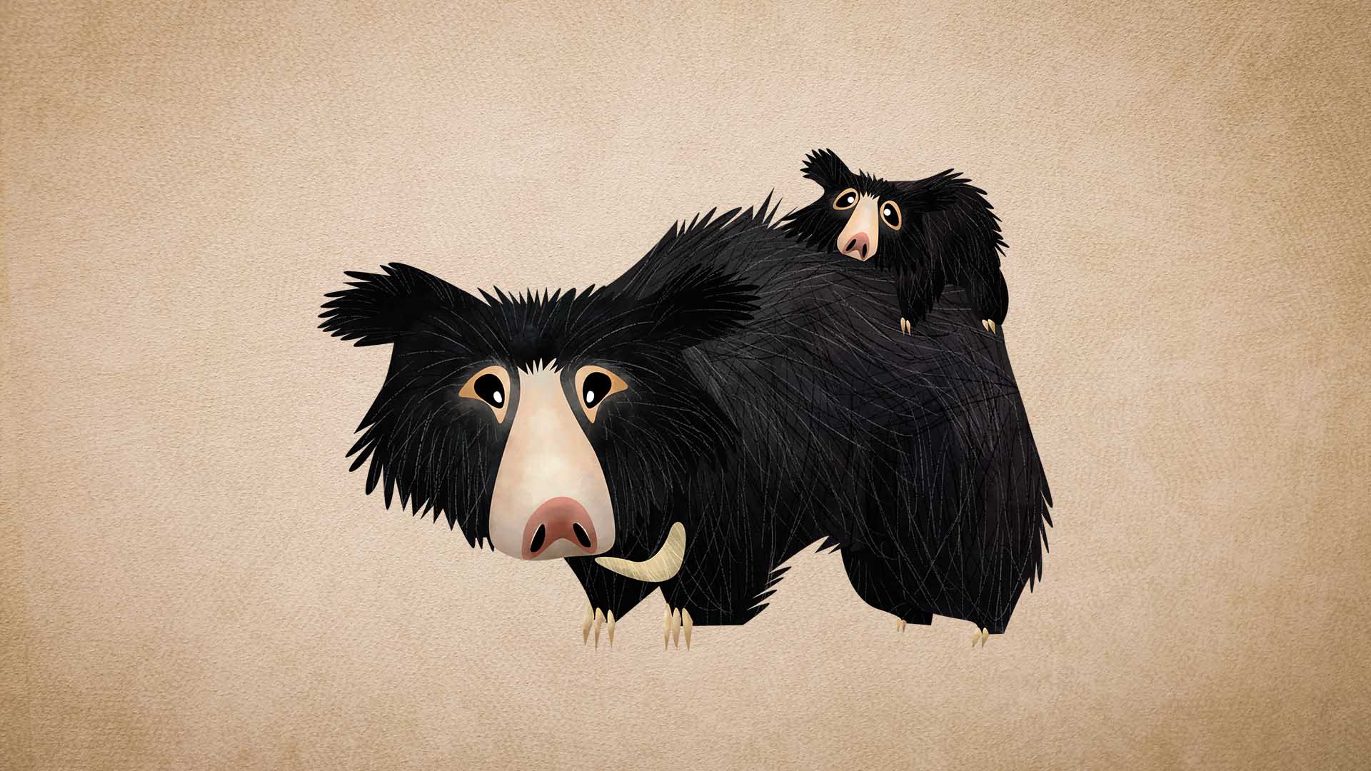 Sloth Bear: Size, Habitat, and Use as Dancing Bears