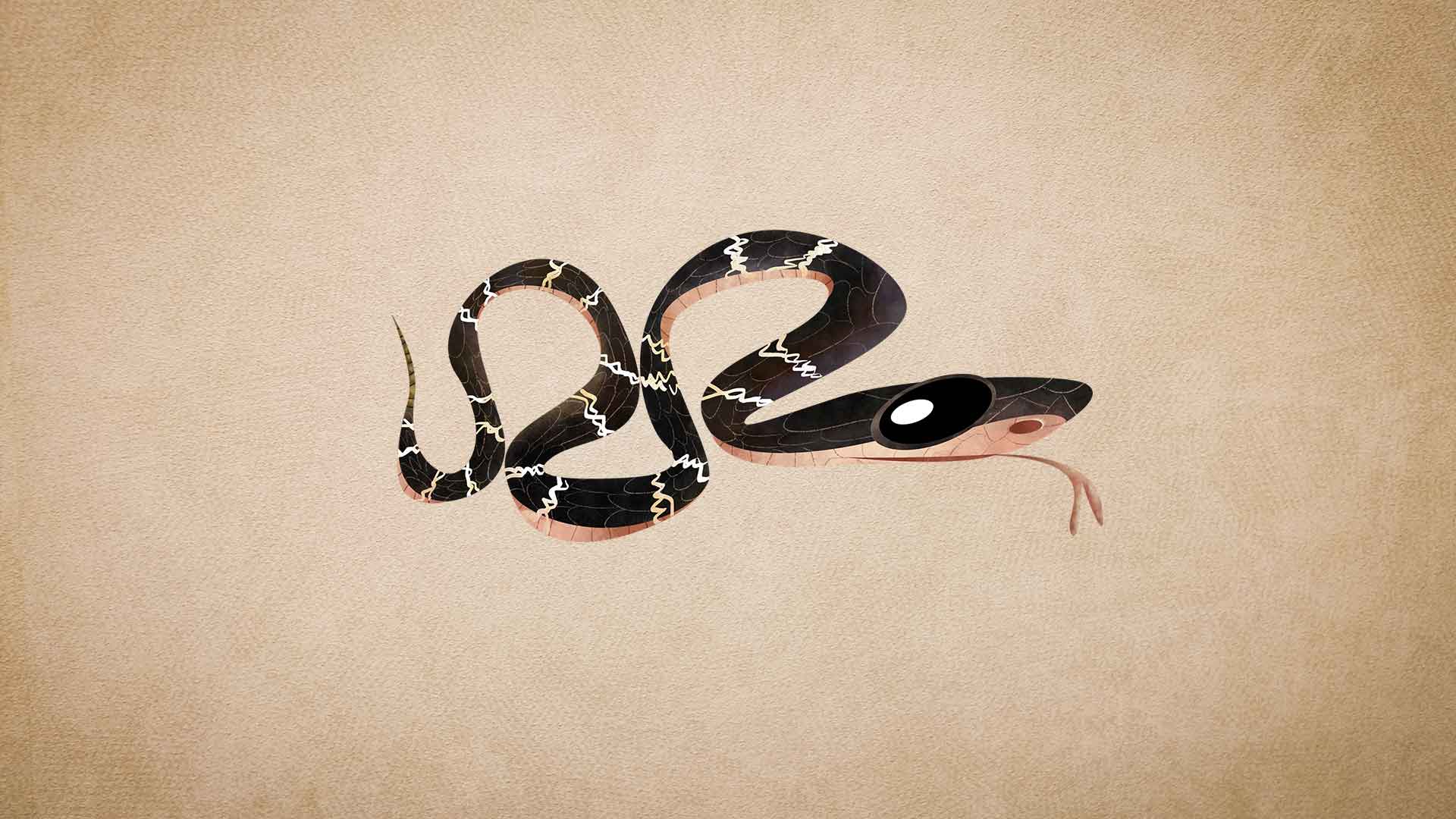 Common Krait: Facts, Venom, Habitat