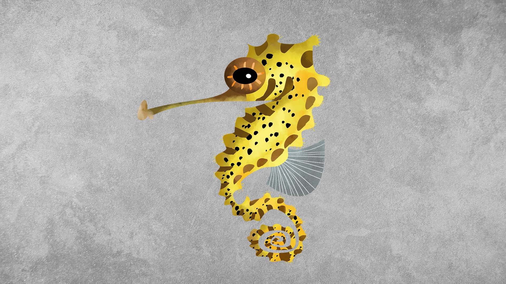 Seahorses: Facts, Diet, Threats
