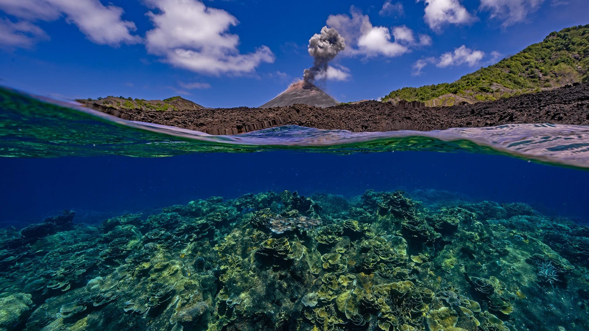 Barren Island: India’s Lone Volcano and its Adjacent Underwater World