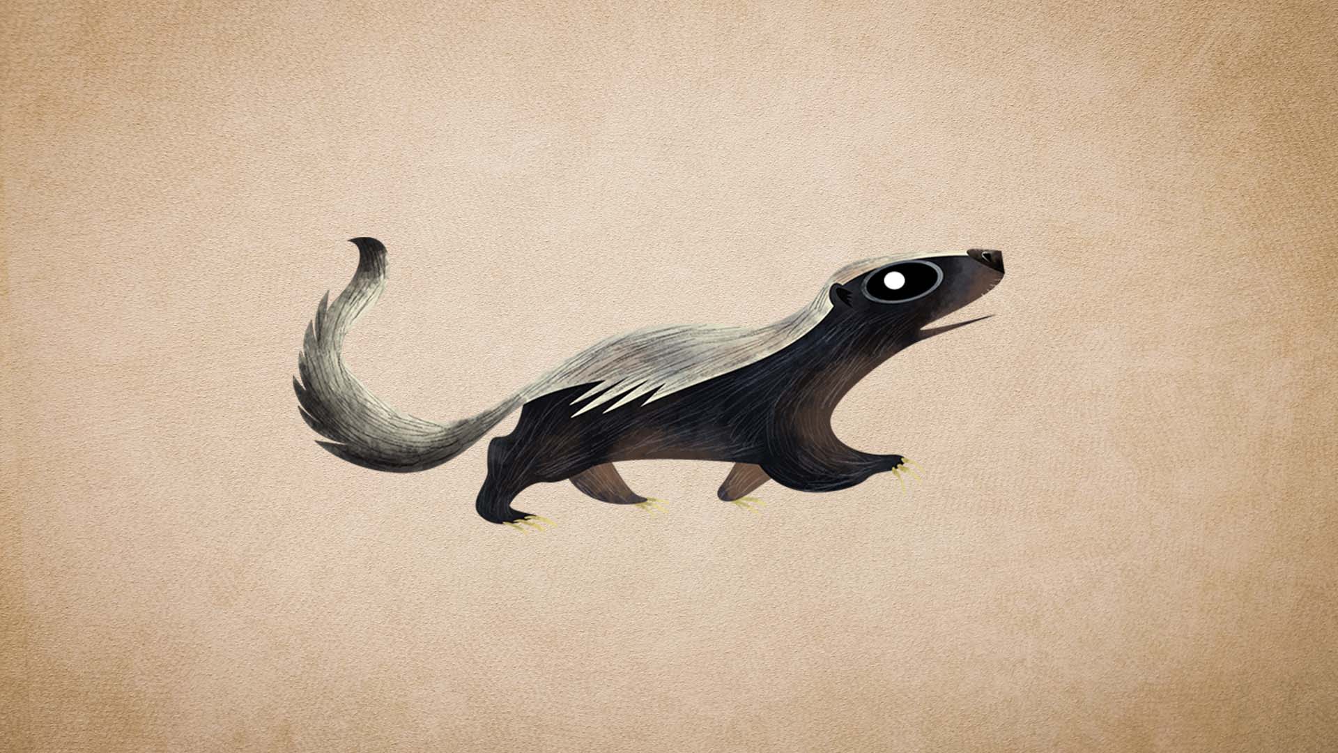 Honey Badger: Facts, Habits and Characteristics Guide