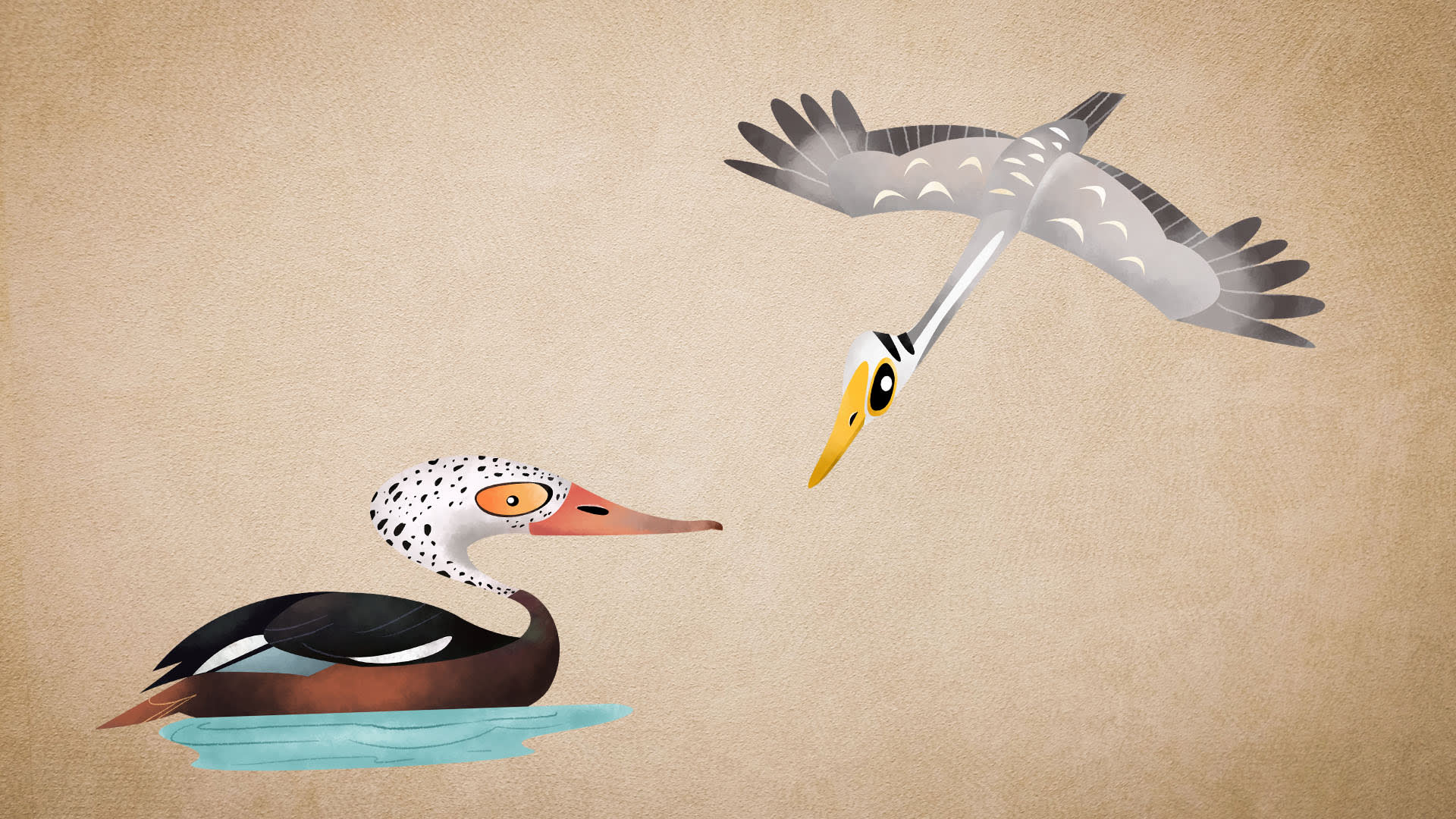 Ducks and Geese: What’s the Difference?