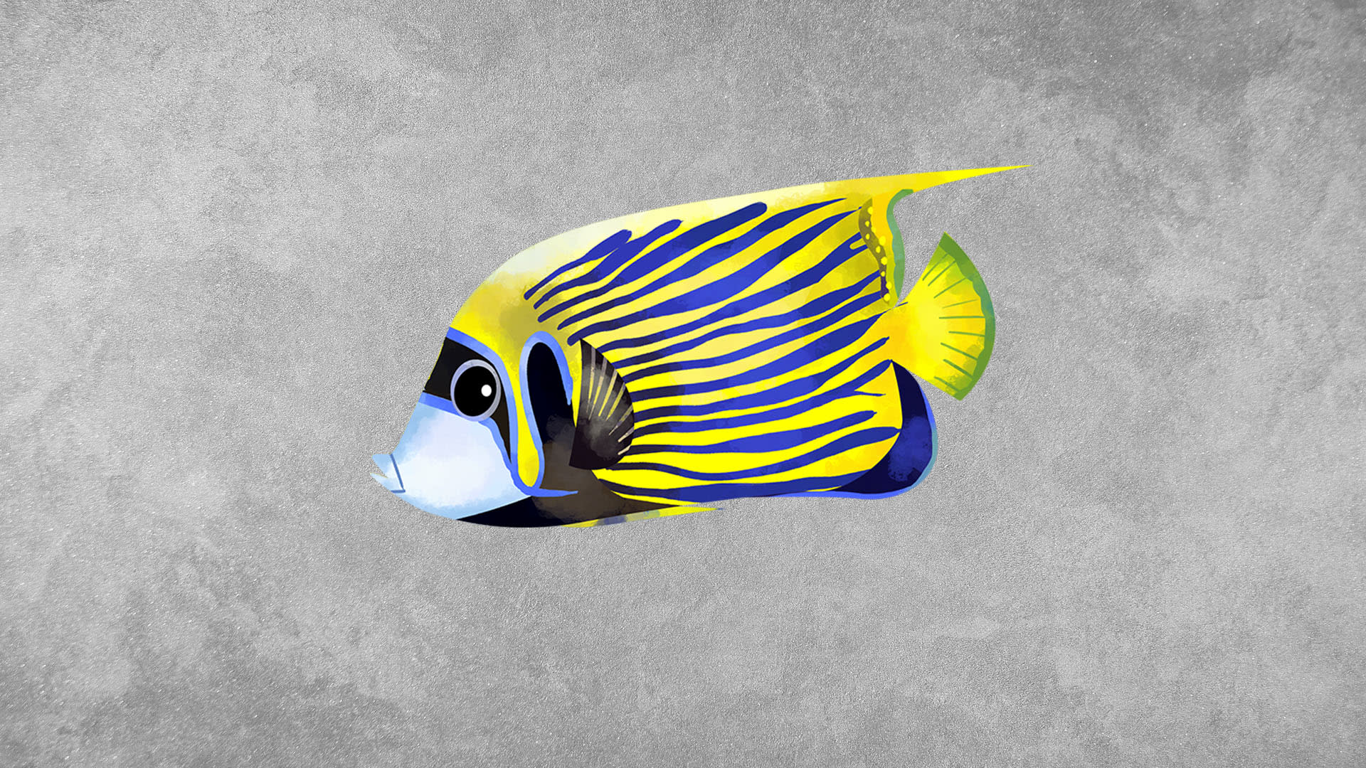 Angelfish: Facts, Habitat, Threats