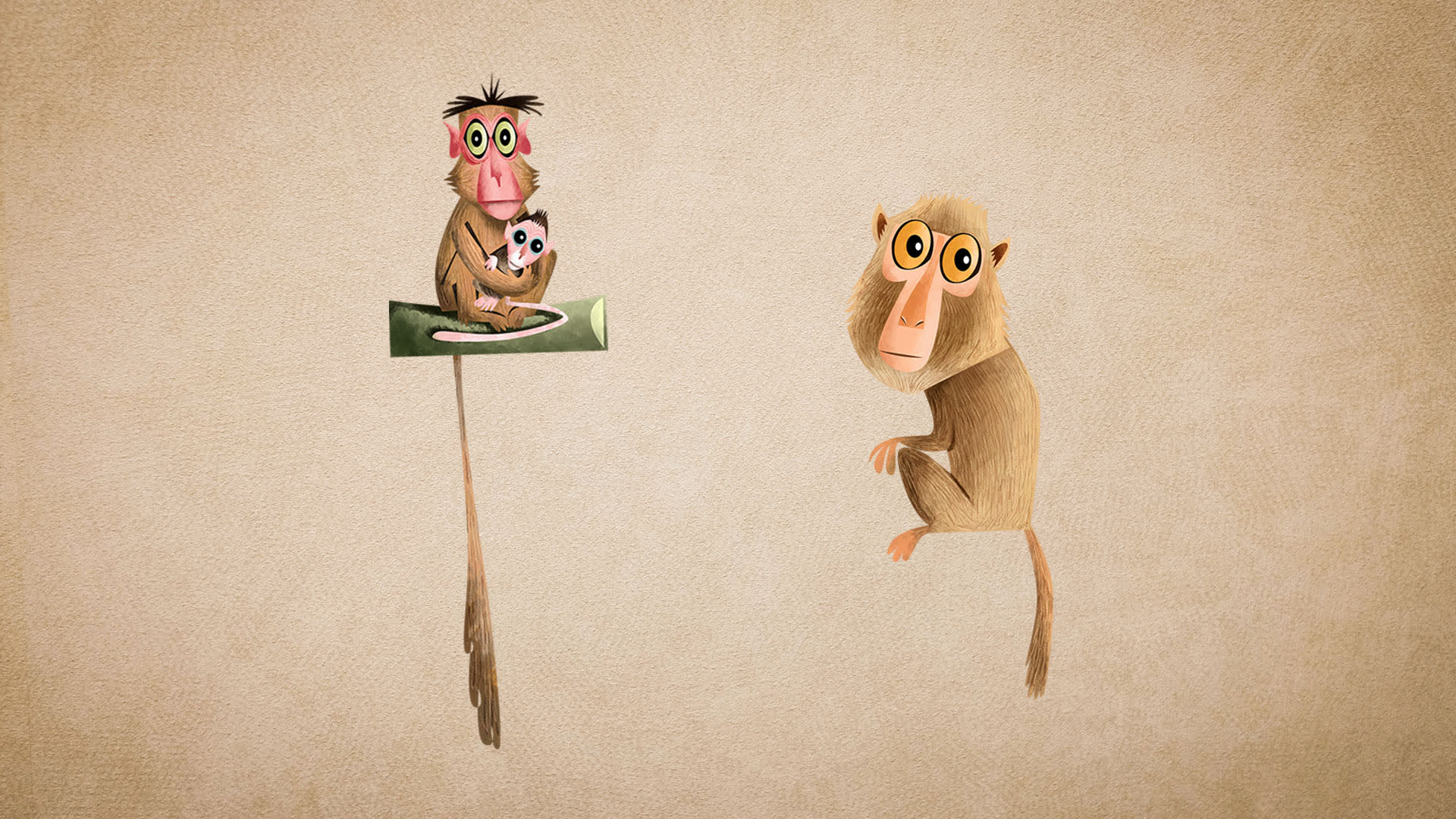 Rhesus and Bonnet Macaques: What’s the Difference?