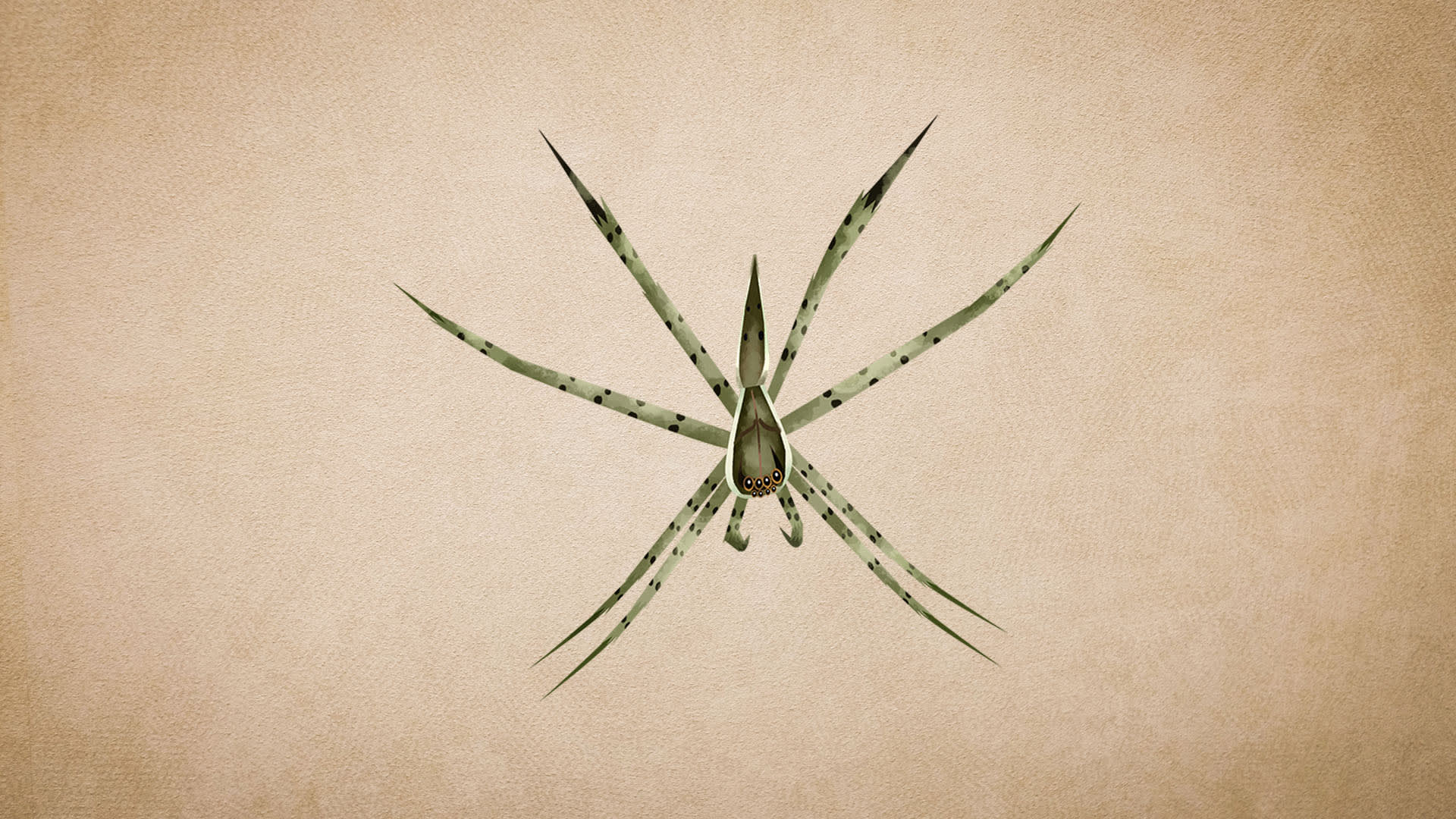 Fishing Spider: Facts, Diet, Strategies