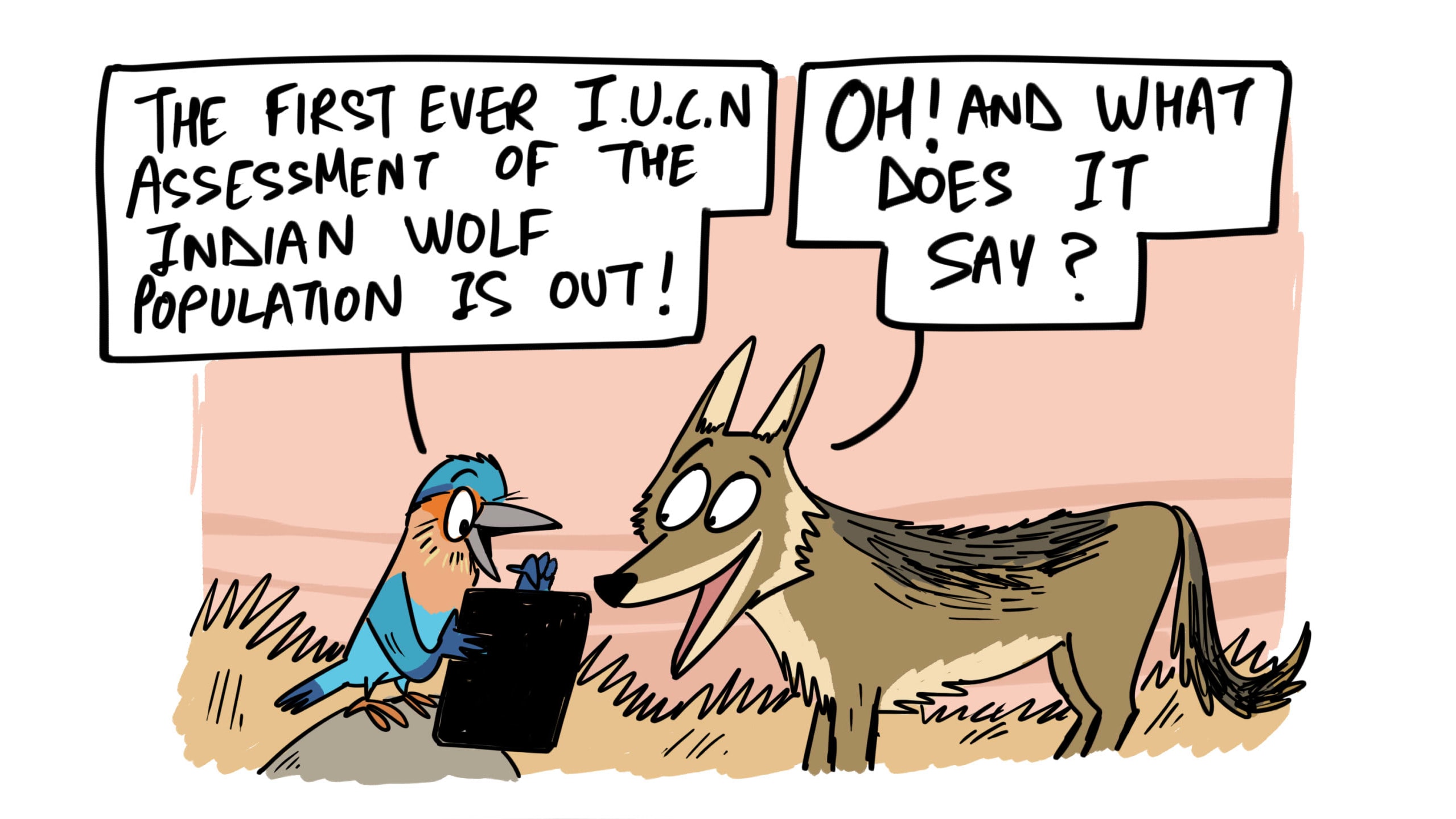 The Indian Wolf Has Not Been Crying Wolf