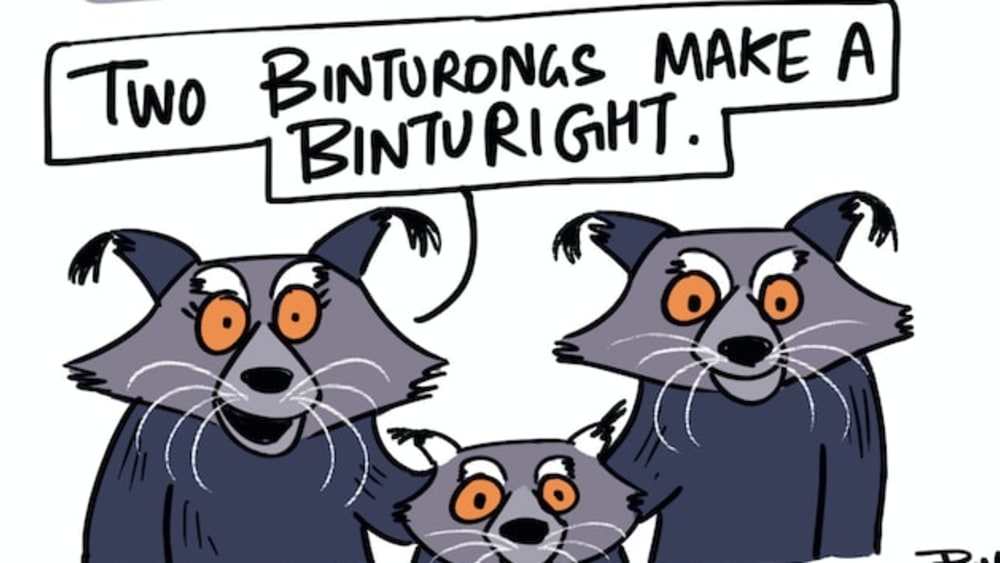 Get Your Facts Right on the Binturong