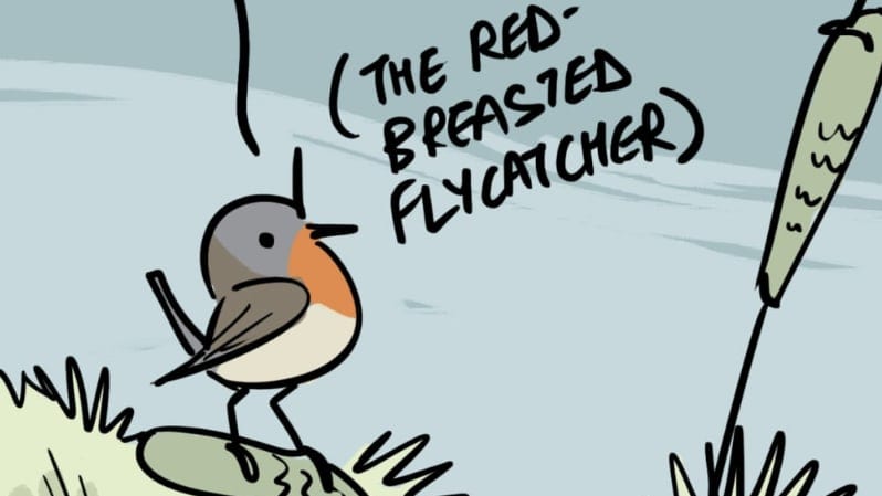 Bird-watching in the Winter Be Like