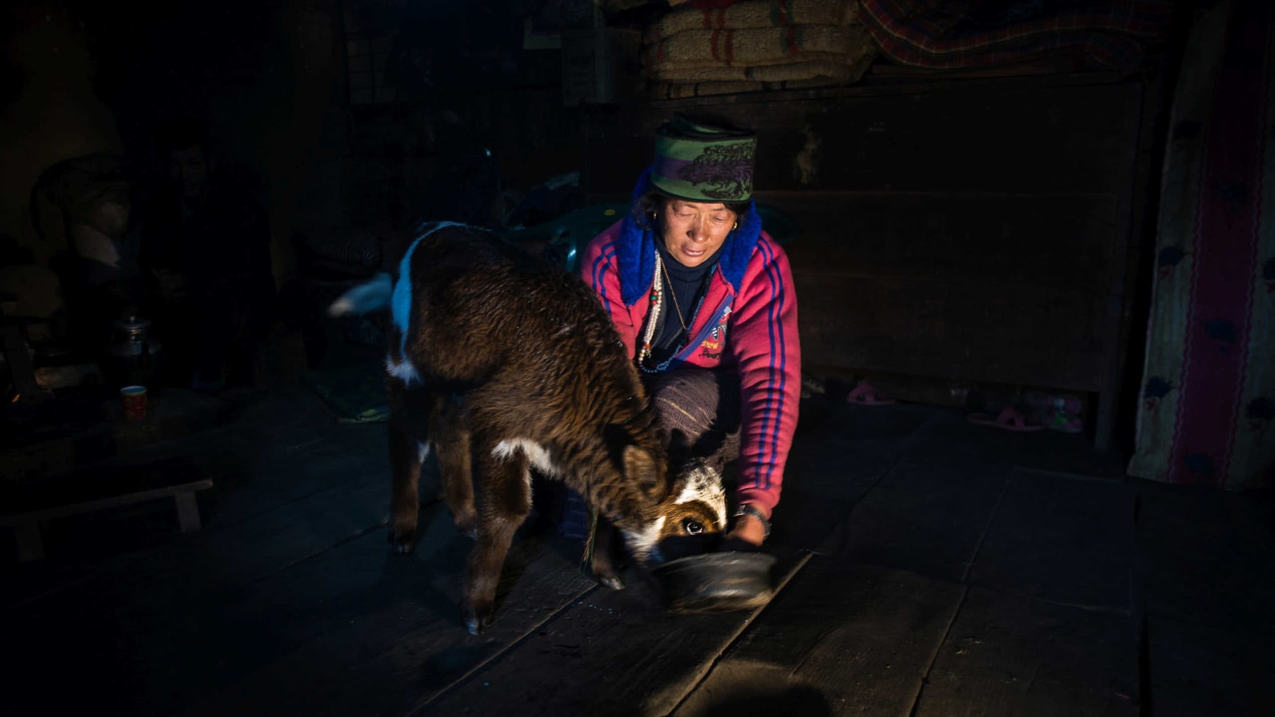 Yak and the Mountain Economy: A Pastoral Future in Transition