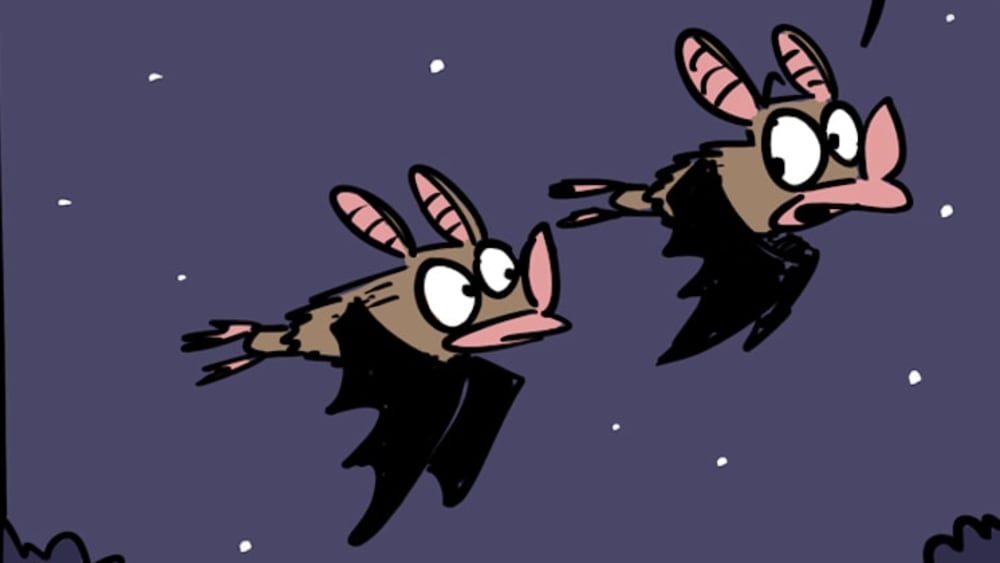 Bats Talk About Ghazals