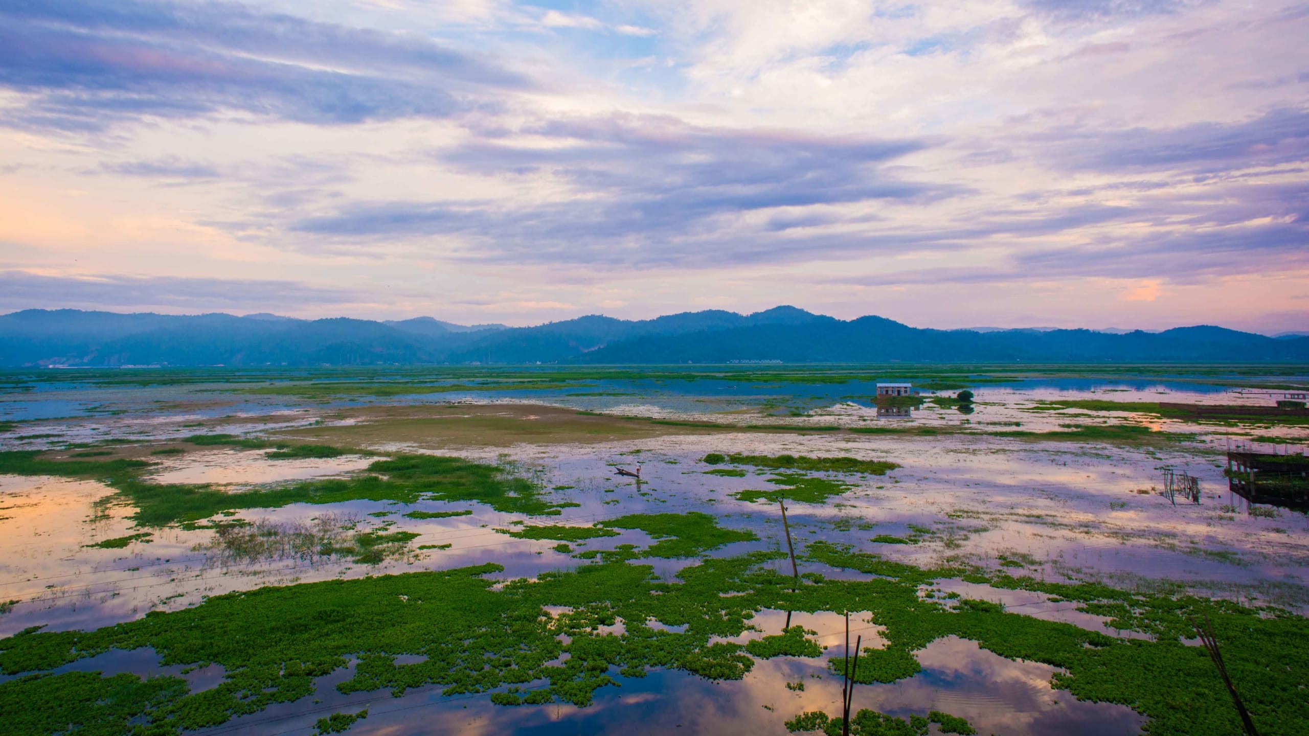 Protecting Deepor Beel’s Elephants from Train Collisons
