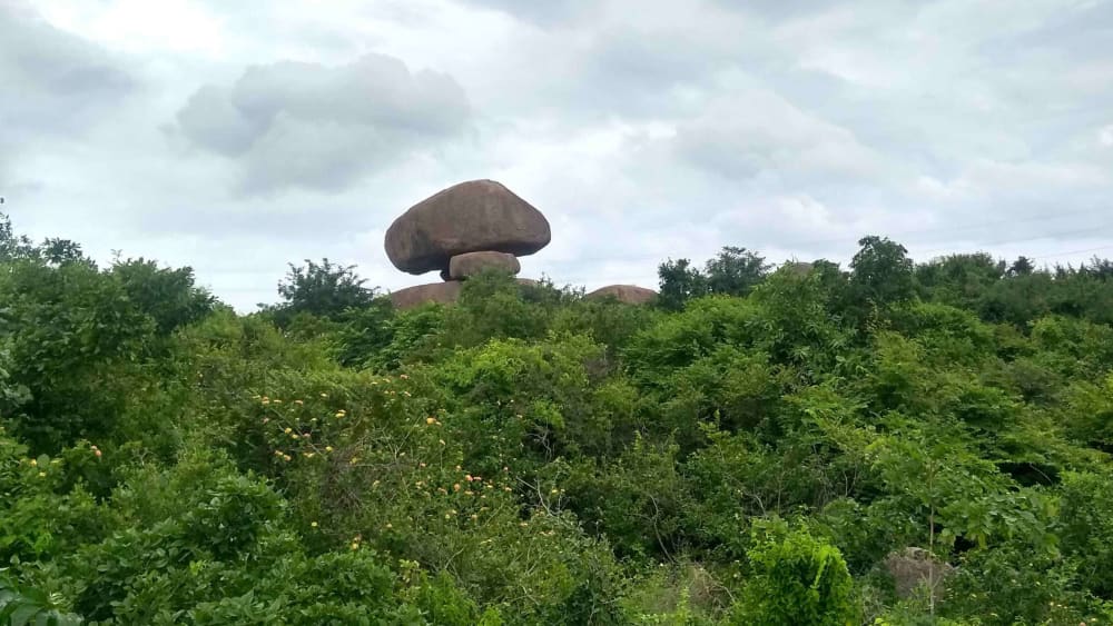 My Home Is This Landscape. And It Needs Saving