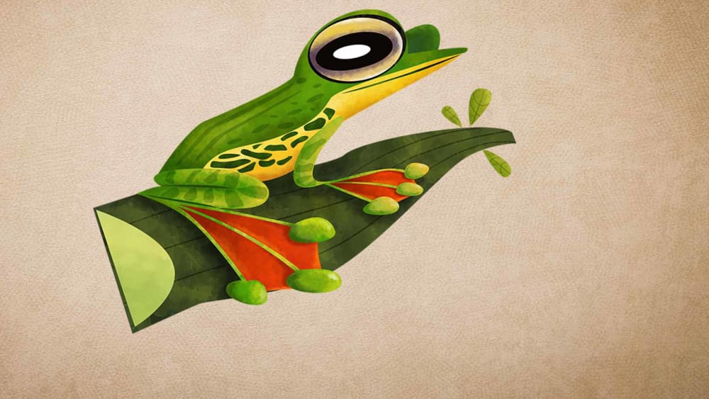 Malabar Gliding Frog: Habitat, Breeding, Threats