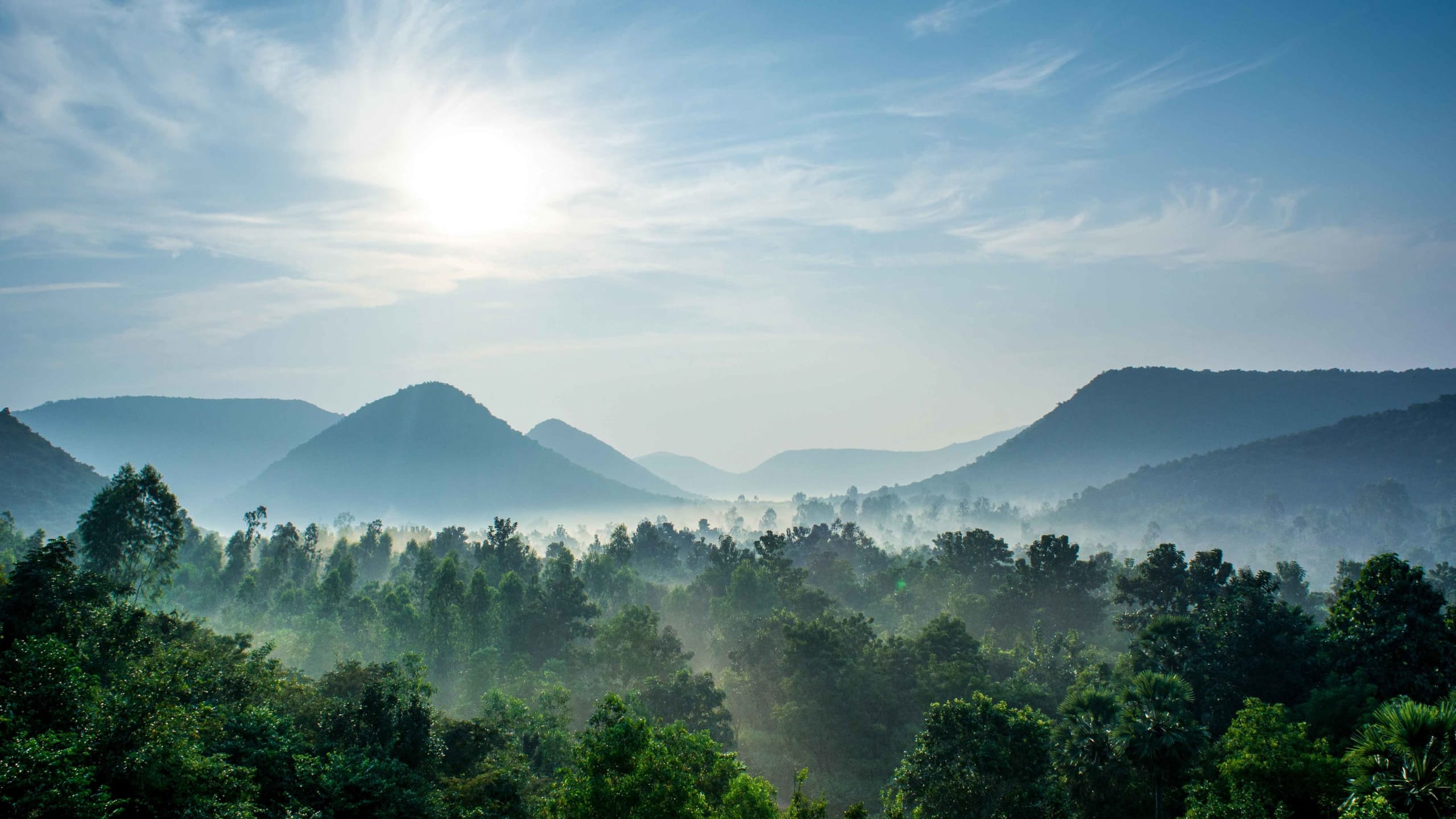 Kamabalakonda Wildlife Sanctuary: Visakhapatnam’s Green Lung 