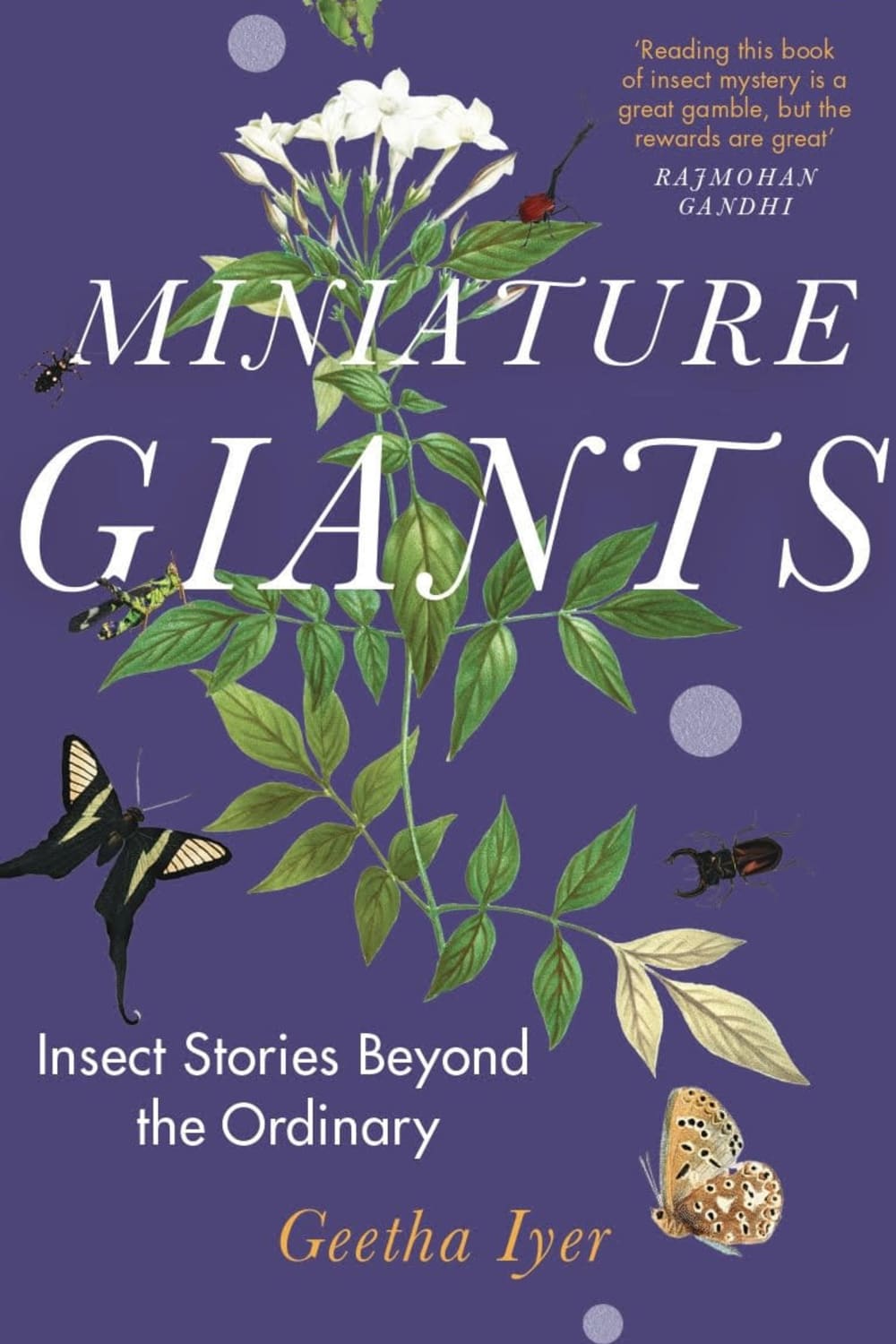 The Enchanting World of Fireflies