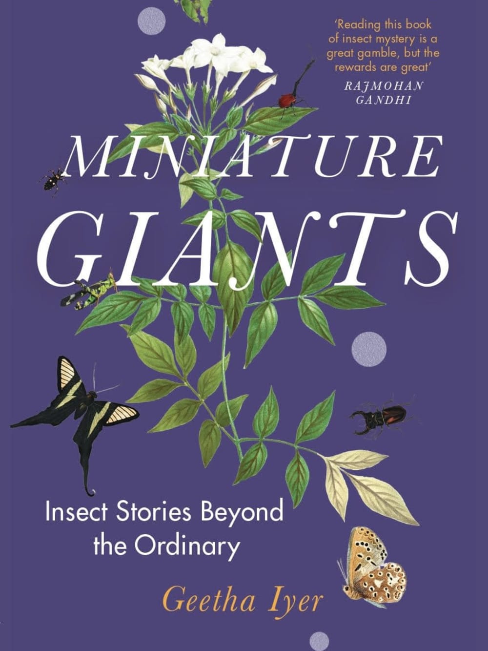 The Enchanting World of Fireflies