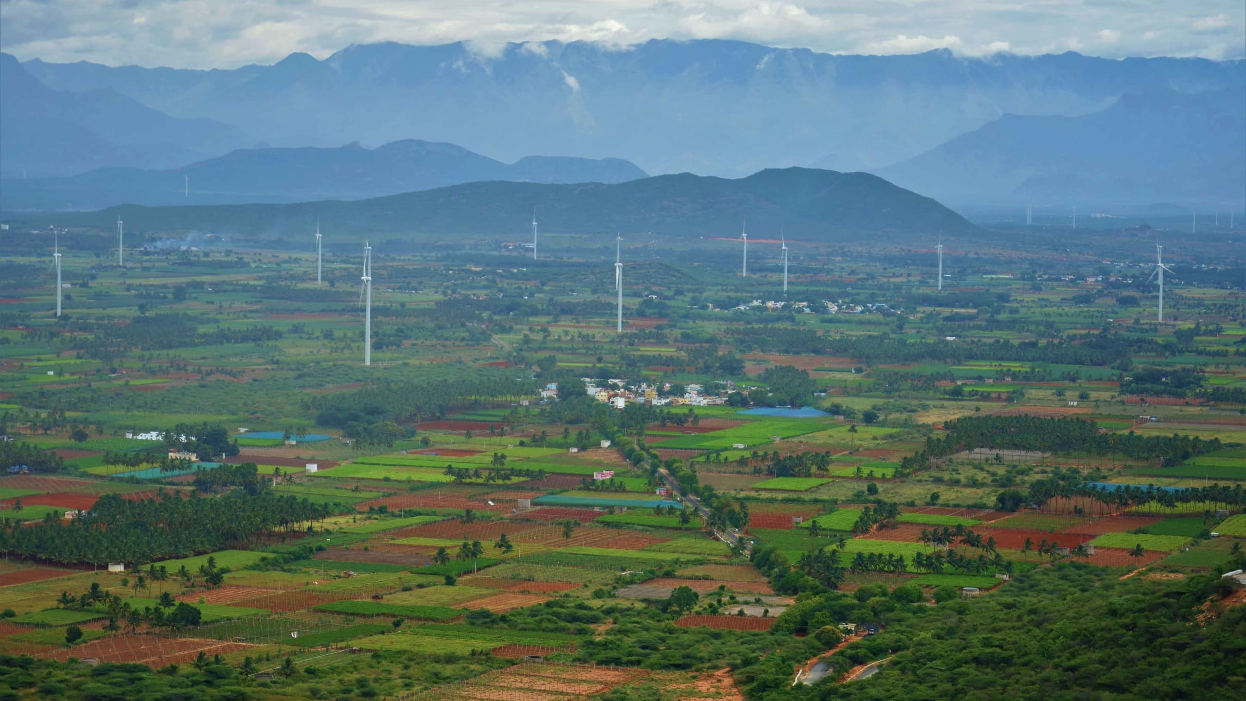 How to Conserve Biodiversity as Wind Farms Expand in Tamil Nadu