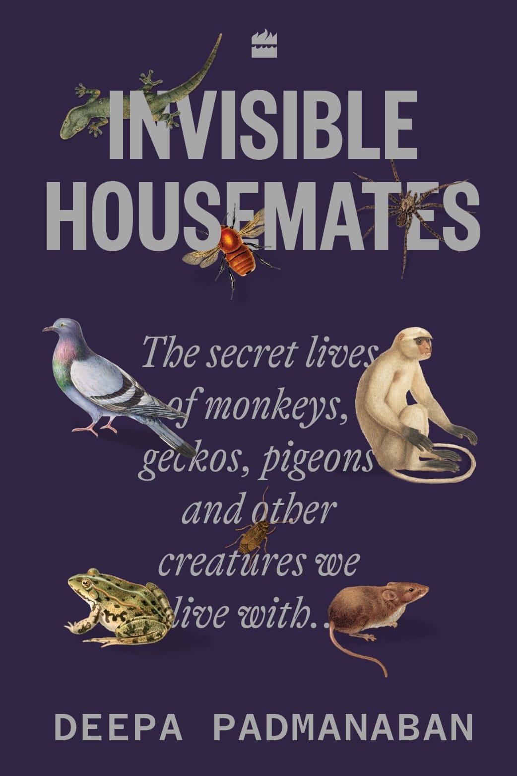 Close Encounters with Friendly Neighbourhood Squirrels