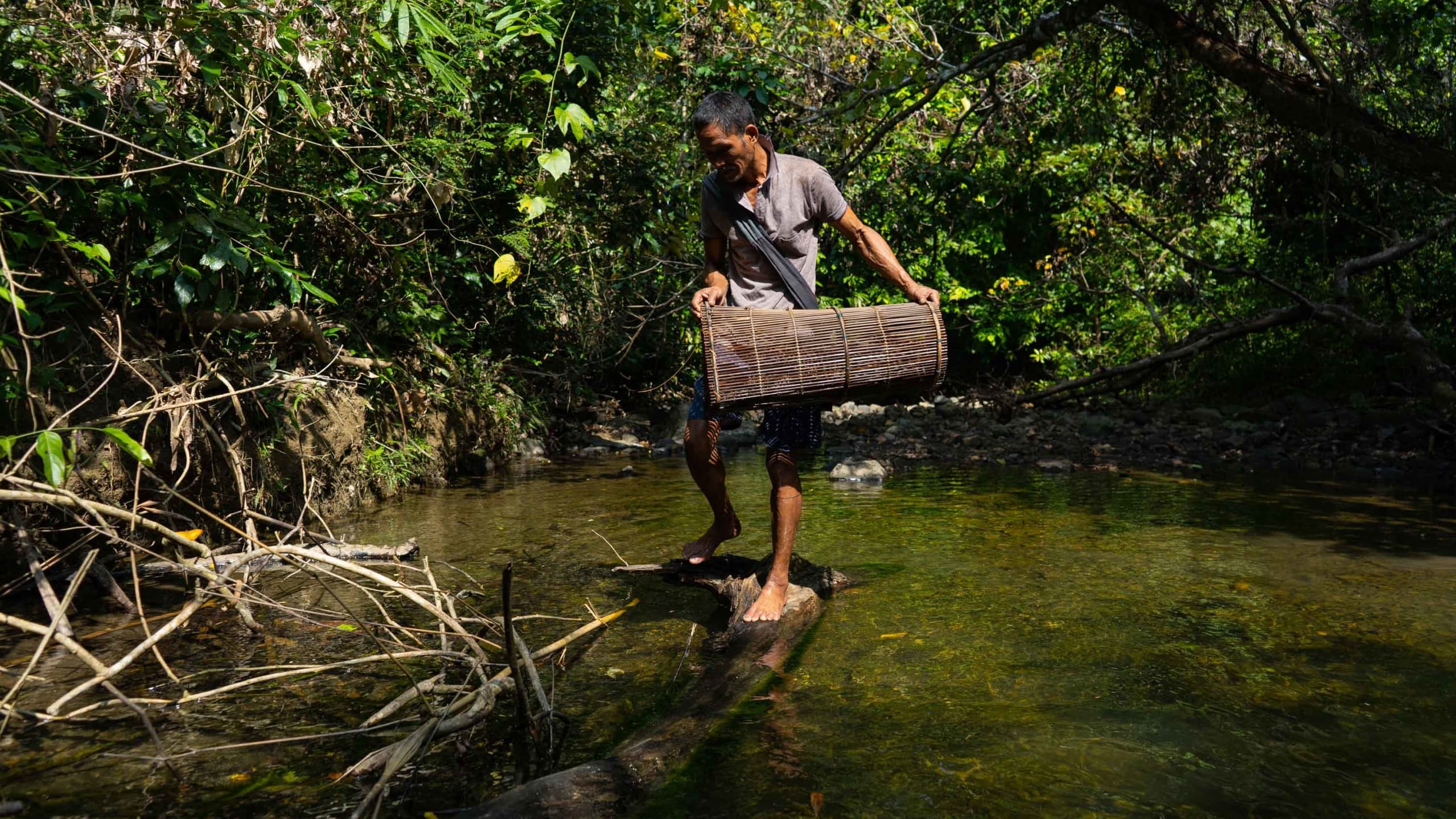 A man in Andaman Islands with a bamboo fishing trap called buh in a forest