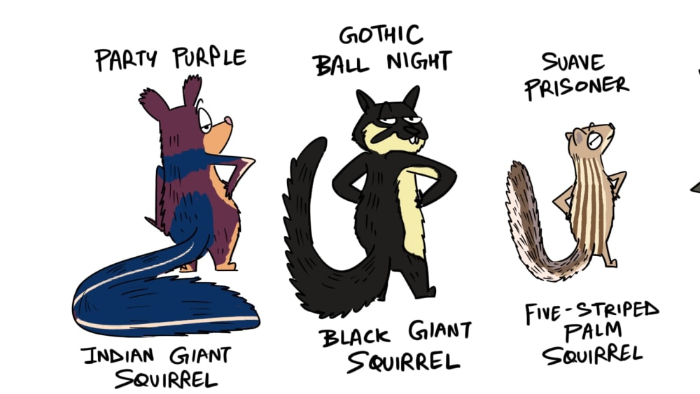 Indian Squirrel Style Statements