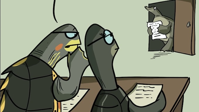 Don't Be Hard on the Softshell Turtle