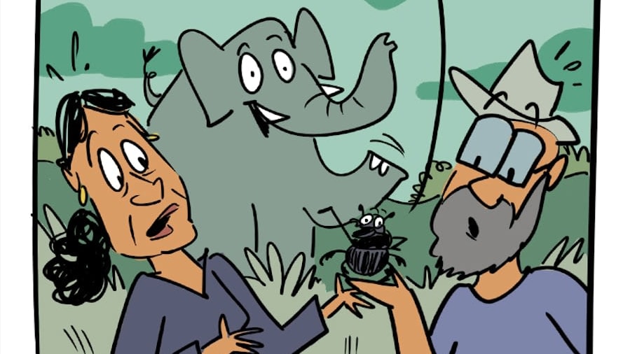 When Elephants Helped Discover This Dung Beetle