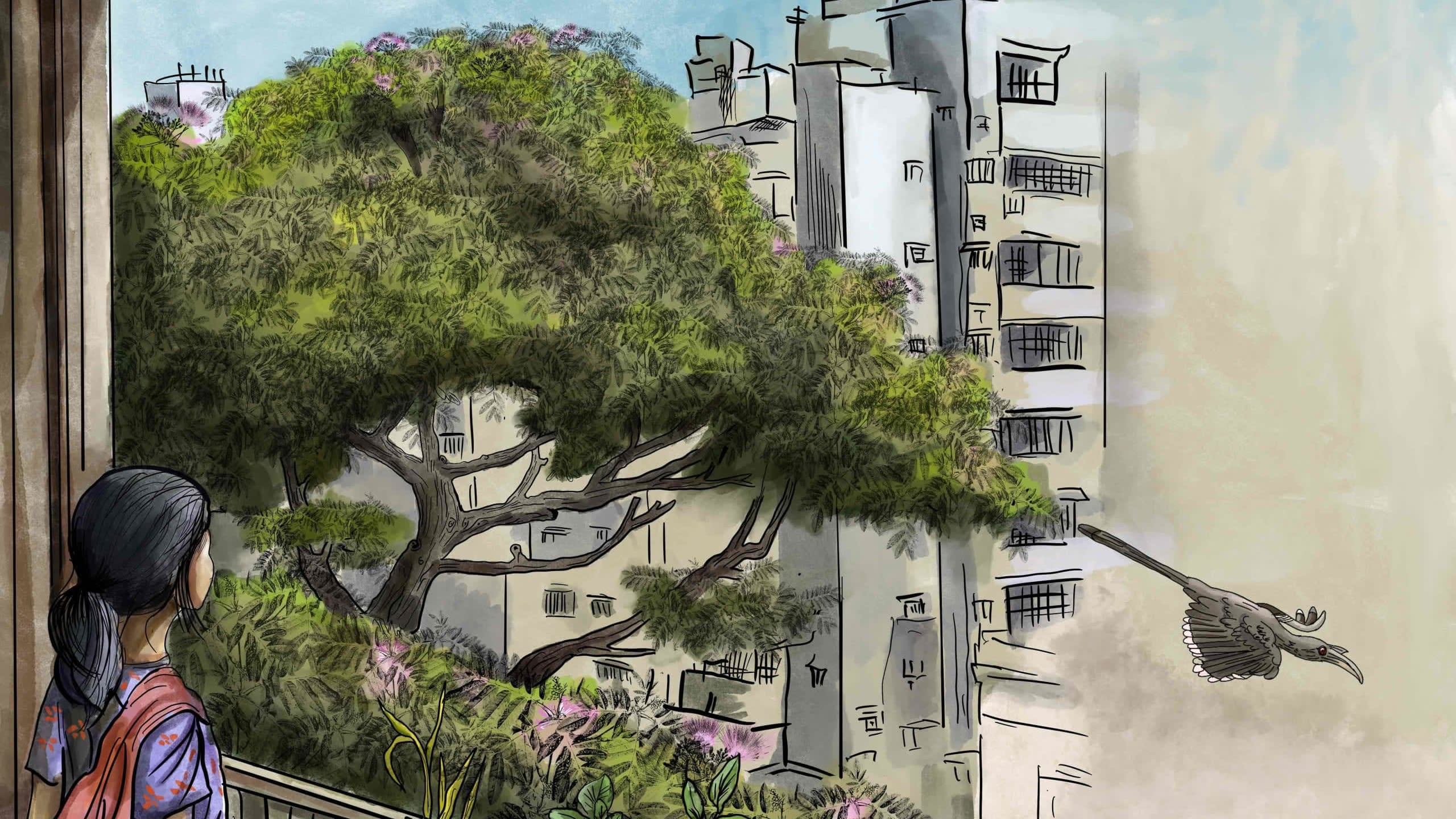 Solace and Splendour in a Rain Tree